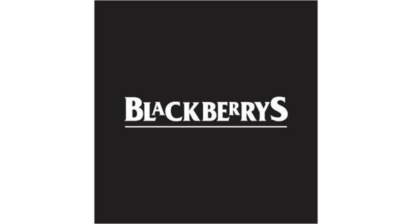 Buy blackberrys Men's Formal Trousers at Amazon.in