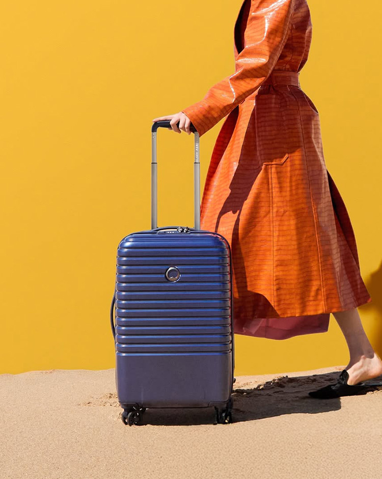 delsey bags