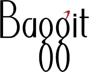 baggit bags for women