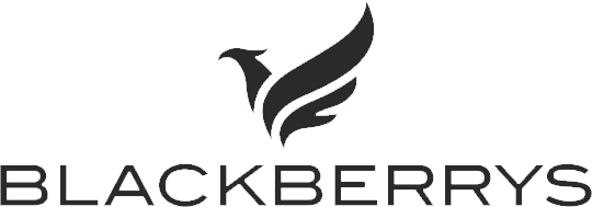 blackberry clothing mumbai