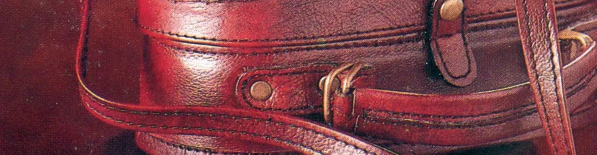 Hidesign desktop banner highlighting premium leather bags and fashion accessories collection