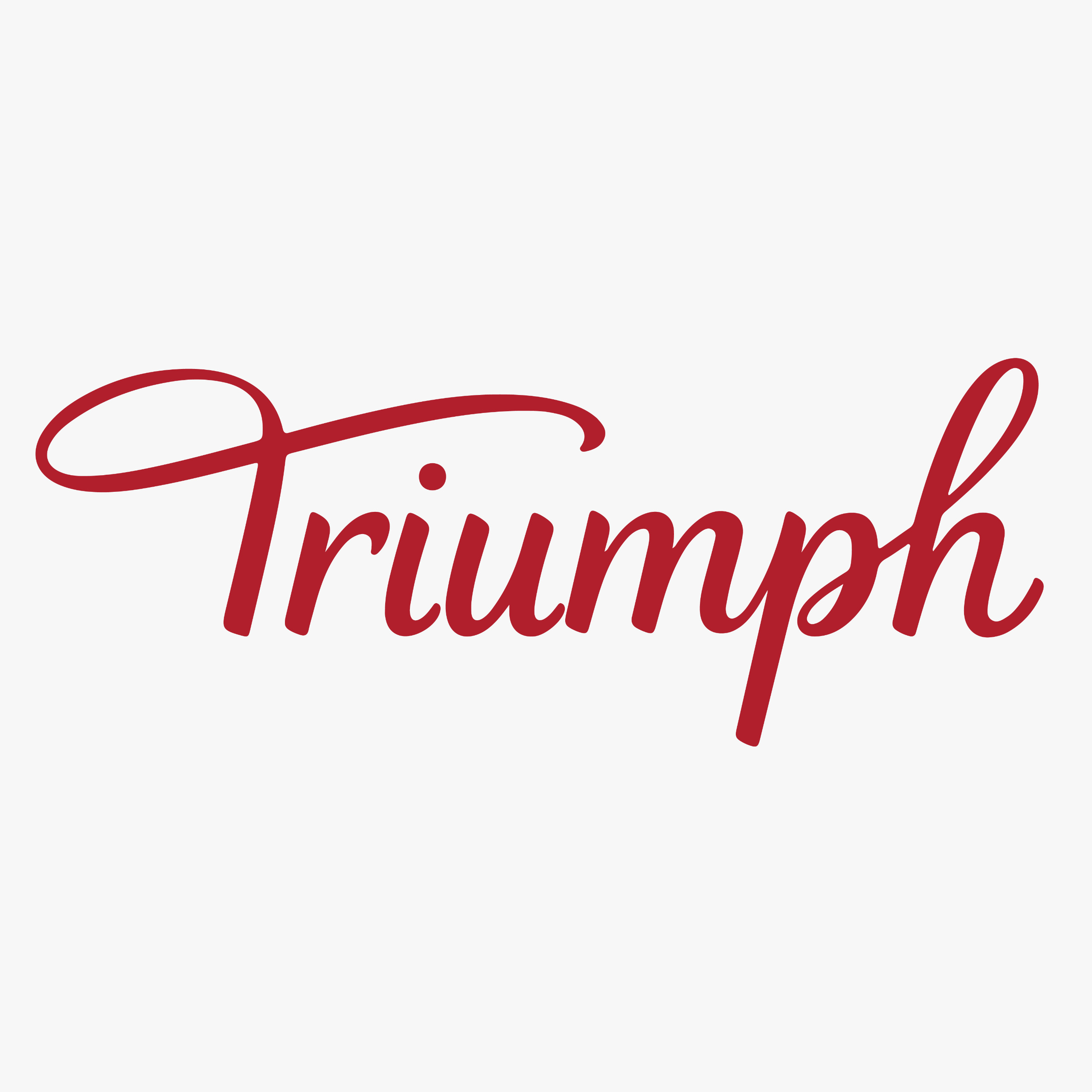 Triumph brand logo for premium lingerie, innerwear and women’s fashion essentials